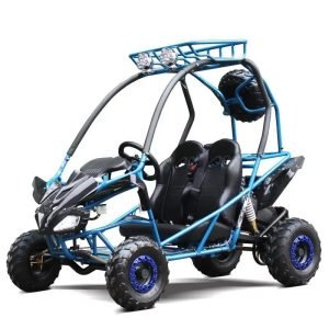 Dongfang PGO 200GVS Children's Go-Kart Buggy, 4-Stroke 196cc
