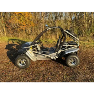 Dongfang Raptor Adult Go-Kart Buggy DF200GKR, Big Bore 200 PowerStroke