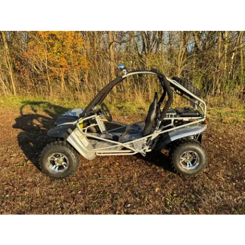 Dongfang Raptor Adult Go-Kart Buggy DF200GKR, Big Bore 200 PowerStroke