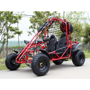 DongFang Spider 200 Adult Go-Kart Buggy