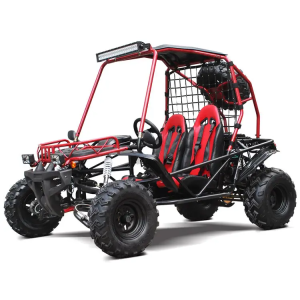 DongFang Wrangler 200GKX Adult Go-Kart Buggy