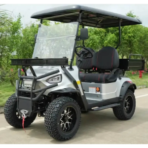 Electric Club Cart - 2Seats