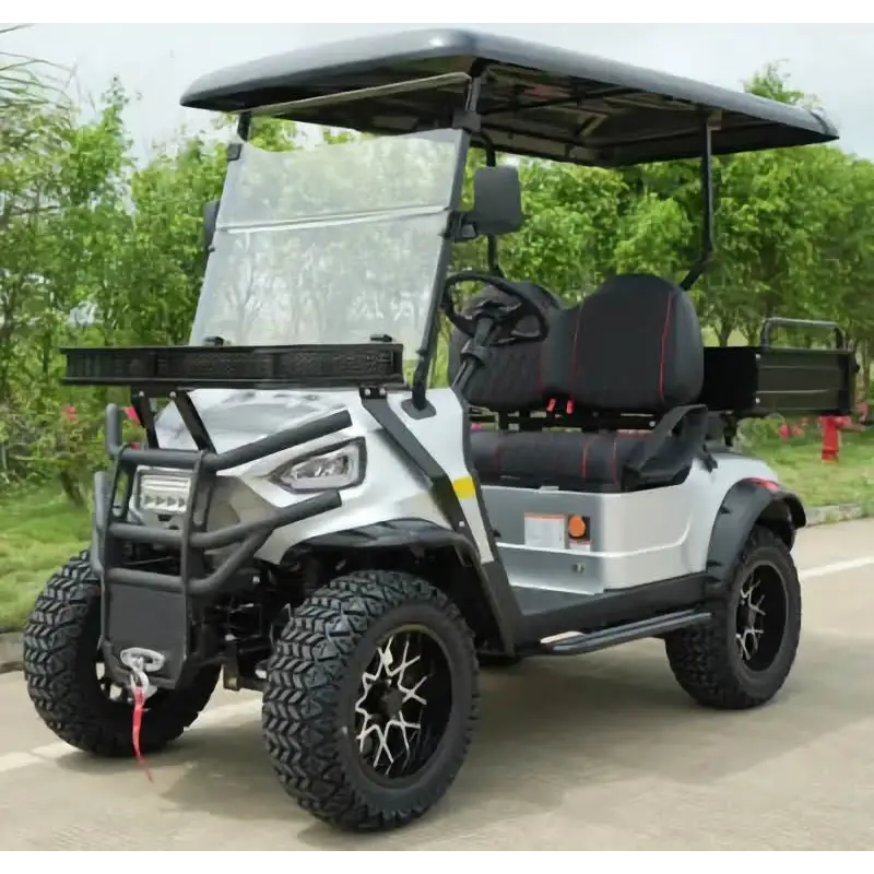 Electric Club Cart - 2Seats