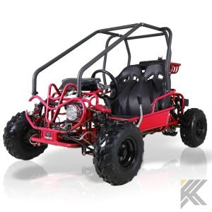 TaoMotor 107cc Kids Go Kart