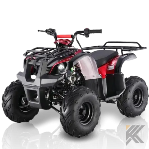 TaoMotor Spiker 110cc Kids ATV with Reverse