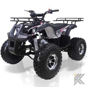 TaoMotor TForce 125cc Kids ATV