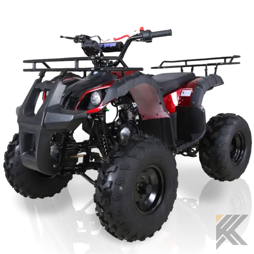 TaoMotor Trooper T125 Kids ATV