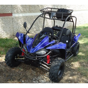 TER-R 125 Children's Go-Kart Buggy, 125cc 4 Stroke