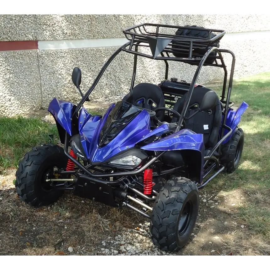 TER-R 125 Children's Go-Kart Buggy, 125cc 4 Stroke