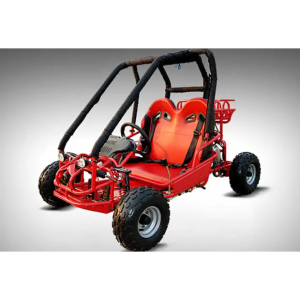 TK110GK-2 Children's Go-Kart Buggy, 110cc 4 Stroke