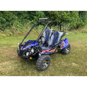 Trailmaster Blazer 200X Adult Go-Kart Buggy