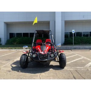 Trailmaster Blazer i2K Electric Adult Go-Kart Buggy