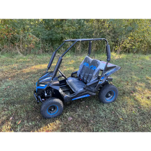 Trailmaster Cheetah i6 Children's Go-Kart Buggy, Electric Motor