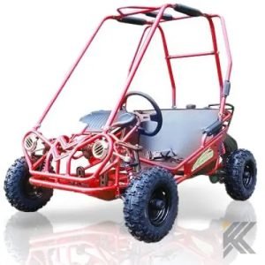 Trailmaster Mini XRS+ 163cc Kids Go Kart